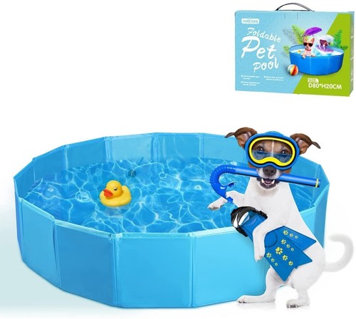 Piscina per cani vasca piccoli - cani,