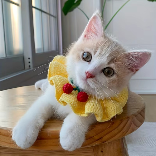 Bavaglino per animali