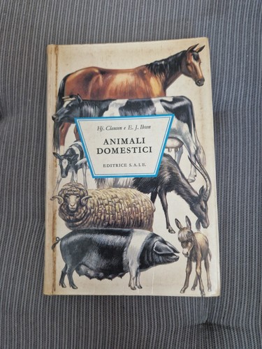 Animali domestici - animali,