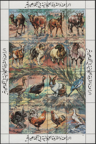 Foglietto animali domestici - "animali, domestici"