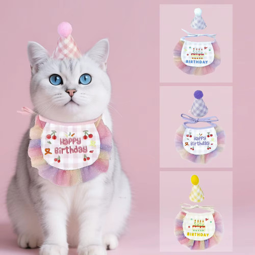 Bavaglino per compleanno per