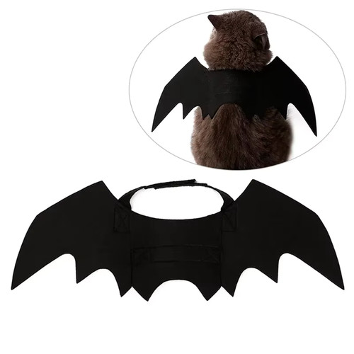 Vestiti creativi per animali
