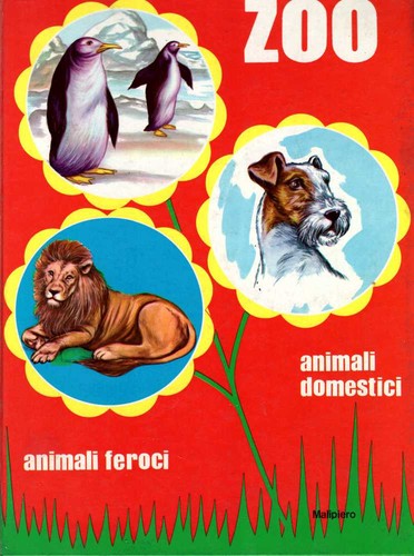 Zoo animali feroci - animali,
