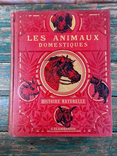 Animali domestici gos de - animali,