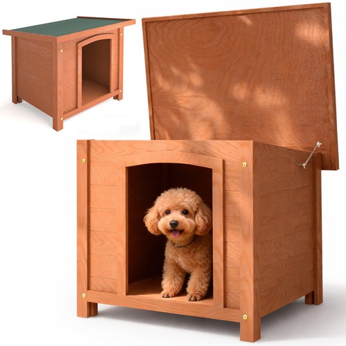 Casetta per cani esterno in - casetta,